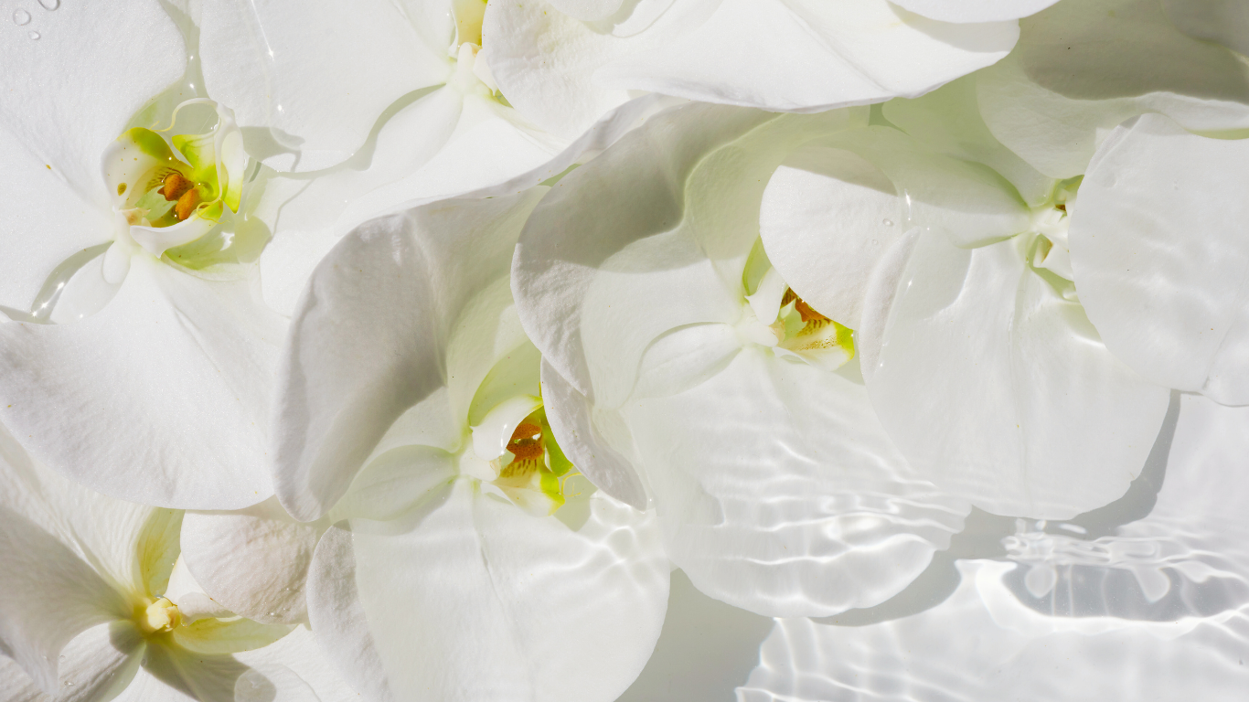 Siamsens Thai Home Massage - SiamSensHome01 1